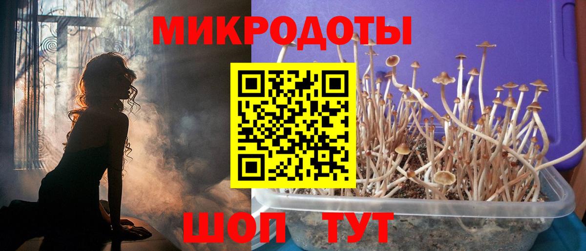 Псилоцибиновые грибы GOLDEN TEACHER  наркошоп  Галлюциногенные грибы Psilocybine cubensis  Малоярославец  Вход с VPN 